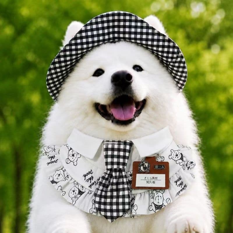 Bandana para Cães Primavera Verão Babador Triangular para Samoieda Golden Retriever Husky Acessório Fofo XS-2XL
