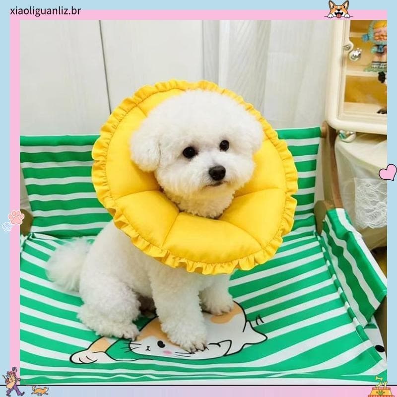 Coleira para gato e cachorro Elizabeth, coleira ajustável Anti-lamber, ferramenta útil, Corgi, gato, filhote de cachorro