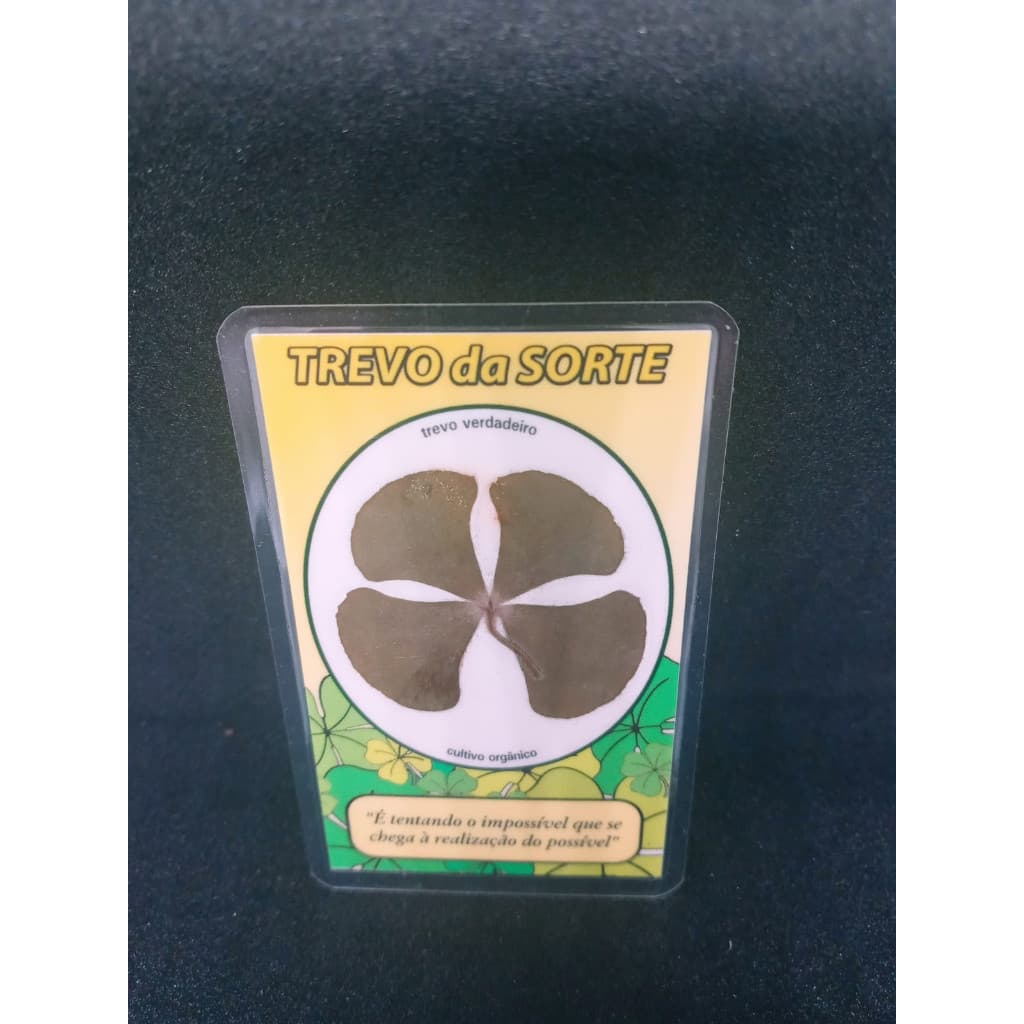 Trevo Da Sorte Plastificado - Verdadeiro