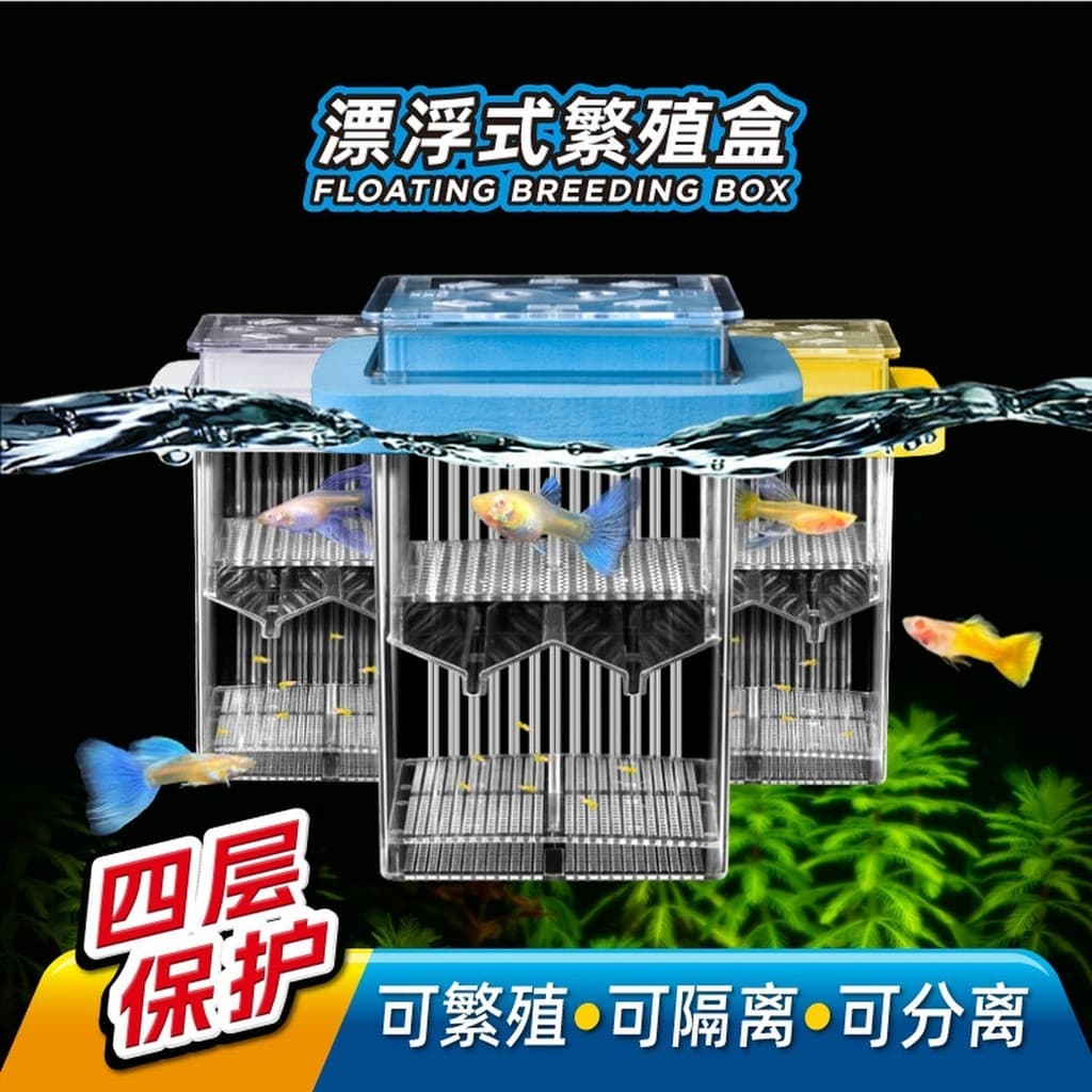 Guppy incubadora caixa tanque de peixes incubadora pequeno peixe pequeno fritar flutuante caixa de isolamento feminino p