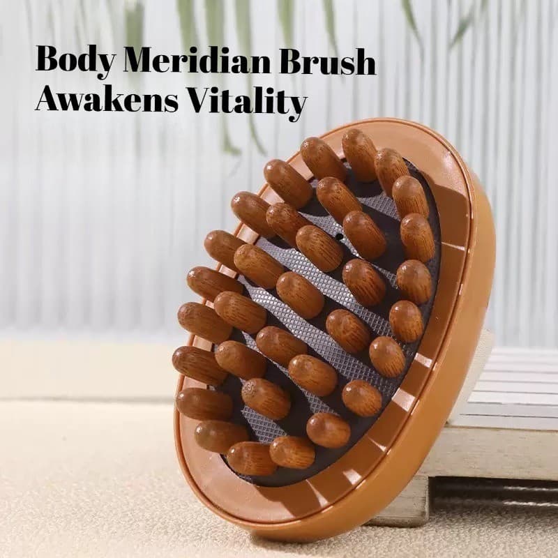 1pc Corpo Anti Celulite Escova Calmante Óleo Essencial Spa Almofada De Ar Massagem Pente De Cabelo Couro Cabeludo De Mas