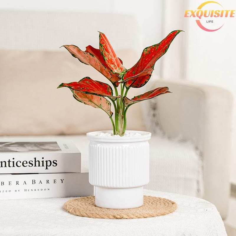 [EL-t] Mini Vaso De Flores Com Rega Automática , Tanque De Peixes , Vasos De Plantas De Plástico Transparente , Planta P
