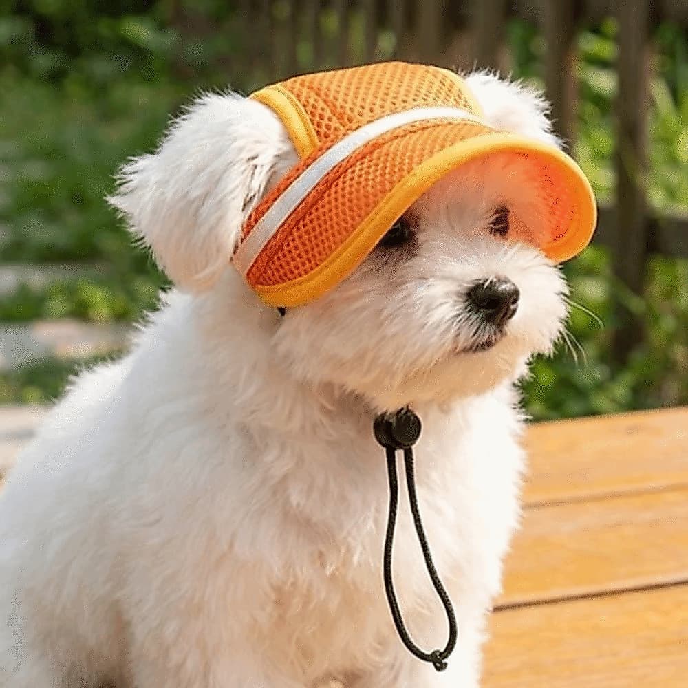 Chapéu de Sol para Cães , Alça Ajustável, Proteção UV, Chapéu de Sol Confortável em Malha para Animais de Estimação