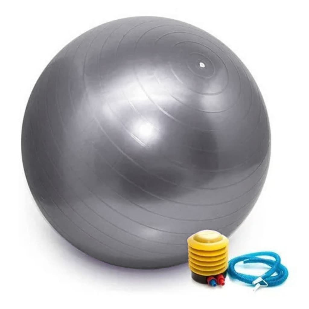 Bola de Pilates Suíça 65cm Treino Funcional Yoga Fisioterapia com Bomba