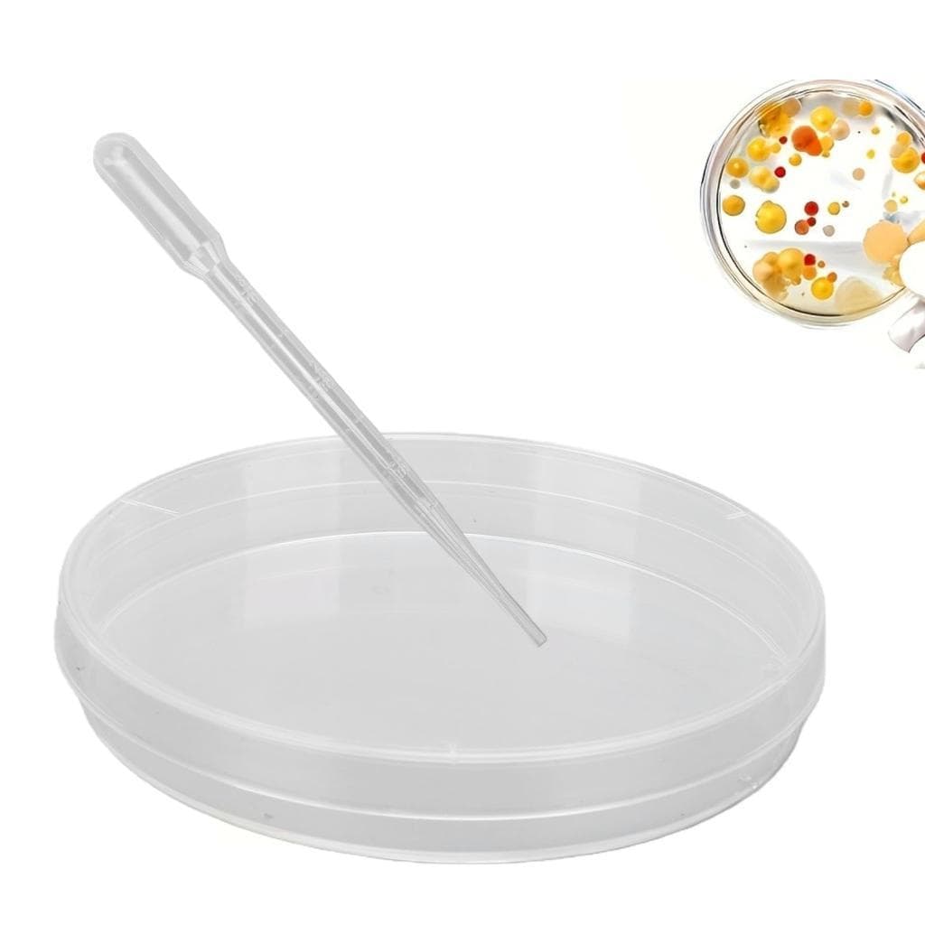 keaostore Science Petri Pratos Placas Transparentes Para Experimentos Projetos Escolares 10 Cotonetes Conta-Gotas 4 Tubo