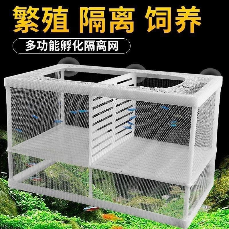 Guppy caixa de reprodução tanque de peixes pequeno papagaio banheira isolamento gaiola Betta isolamento Net suspenso inc