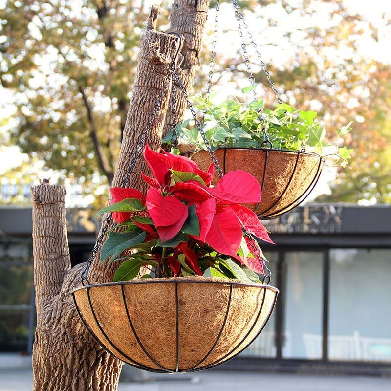 Pote de suspensão de palma de coco vaso de flores pendurado orquídea planta interior pendurado pote varanda decoração cr