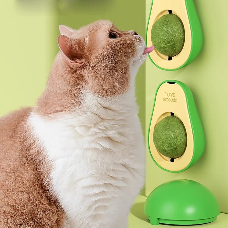 Bola de erva-dos-gatos, brinquedo para gatos para entretenimento próprio e alívio do tédio, bola de erva para gatos, mor
