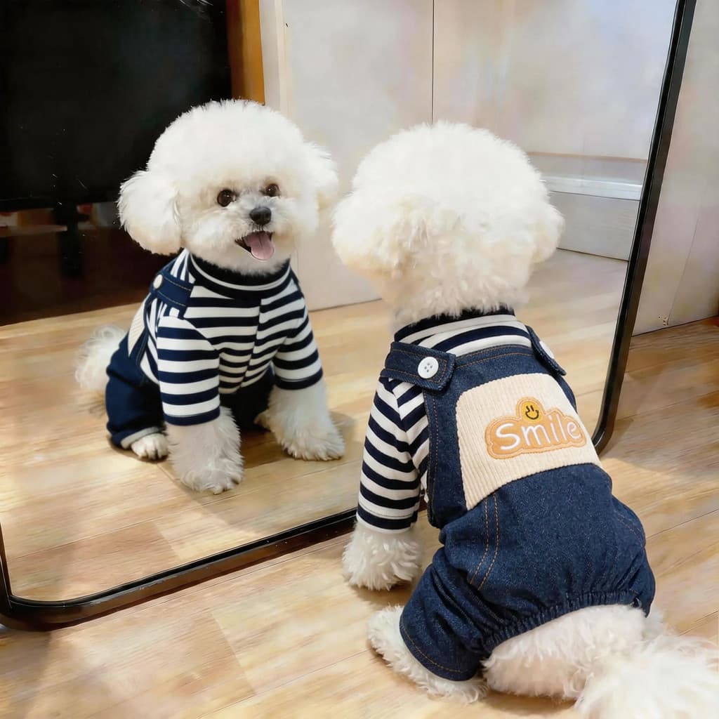 Roupas para cães outono novo estilo de alto valor pequenos cães de tamanho médio Teddy Bichon Schnauzer cães manter aque