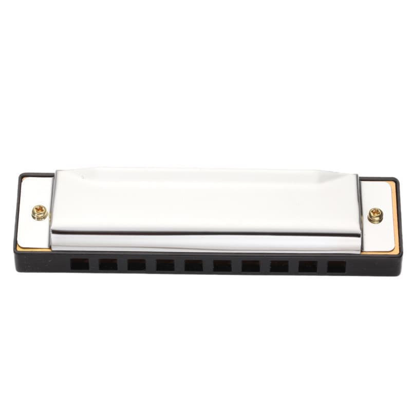Blues Harmonica Órgão bucal de 10 furos para iniciantes com tampa de aço Estojo transparente Furo para iniciantes Chave