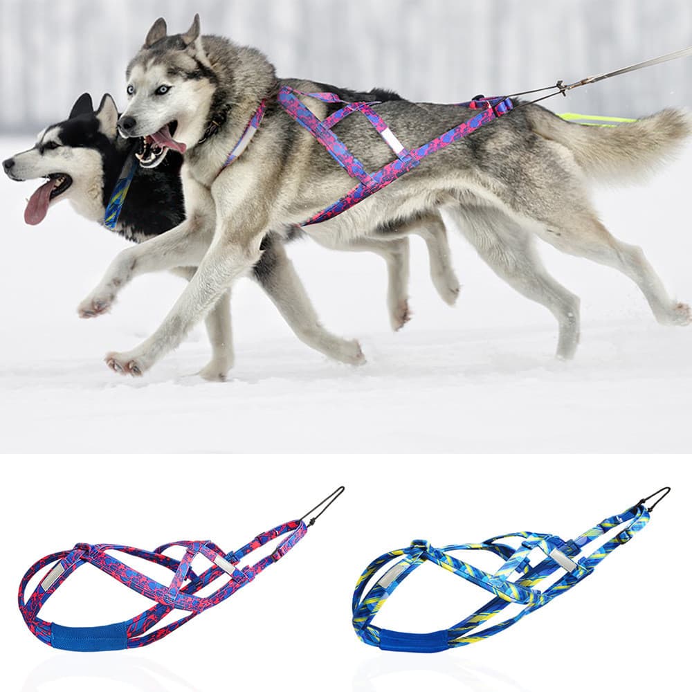 Venda quente cão trenó cinta peito Husky Alaska esqui Scooter cinta trela atacado