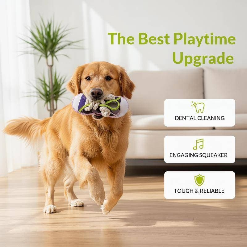 Filhote De Cachorro Mastigar Brinquedo Lona Sapato Resistente À Mordida Design Para Saúde E Entretenimento