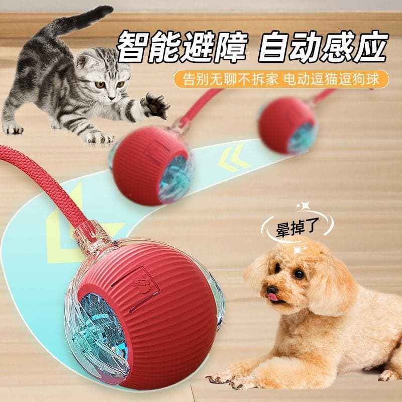 Brinquedo para cachorro, bola automática para caminhada de cachorro, filhote de cachorro, auto-feliz, alívio do tédio, r