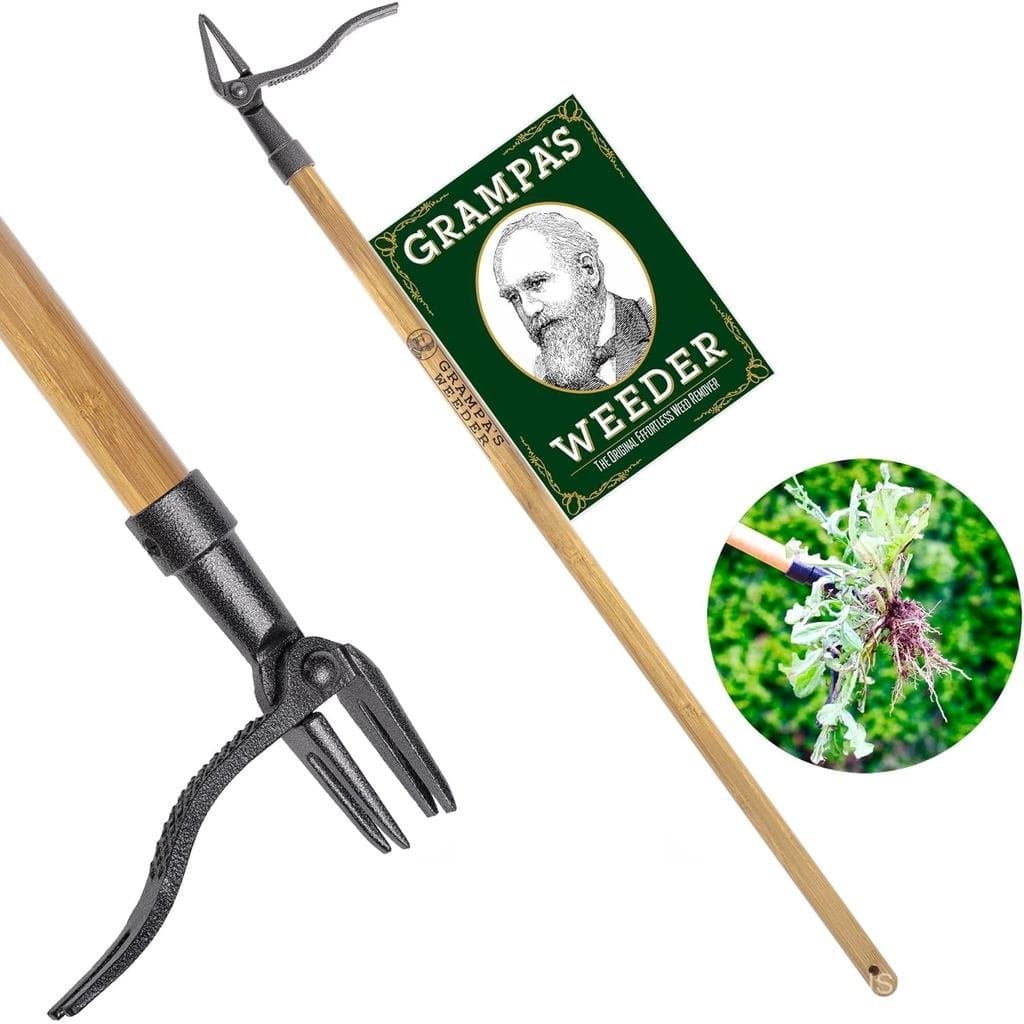 Grampa's Weeder - A Ferramenta Original para Remover Ervas Daninhas em Pé com Cabo Longo - Feita com Bambu Real e Cabeça