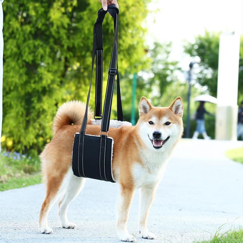 Cinto de tração para cães, cinto auxiliar portátil para cães idosos, deficientes, cinto de exercício para cães, cinto de