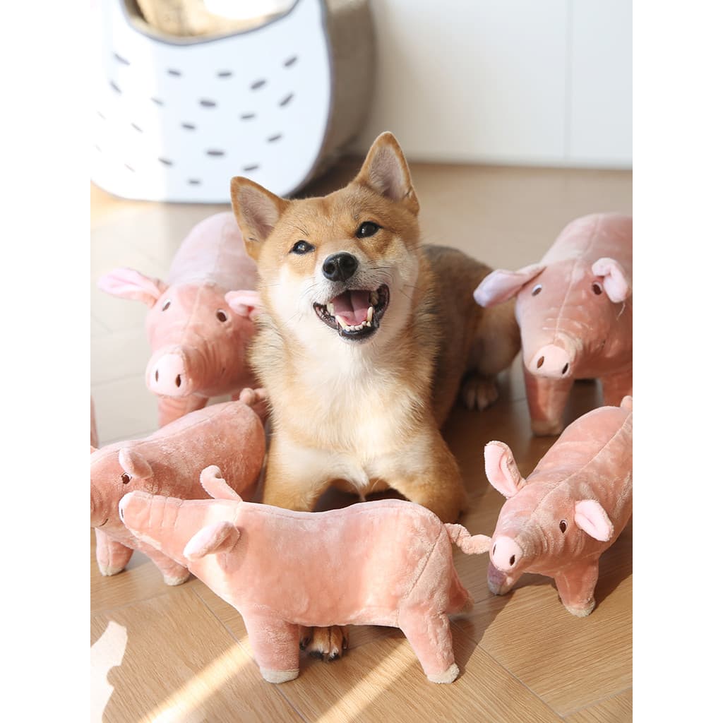 Brinquedos para cães de pelúcia resistente à mordida auto-feliz alívio do tédio ferramenta útil ventilação bonecas para