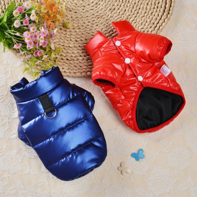 Inverno Pet A Roupa Do Cão Para Cães Engrossar Quente Cor Sólida Pequeno Verde Vermelho Grande Jaqueta