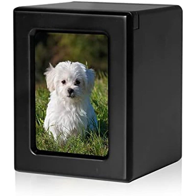 Urna De Cinzas De Cachorro De Madeira , Preta , Sólida , Pequena (0-25 Libras) , Porta-Retratos , Acabamento Polido