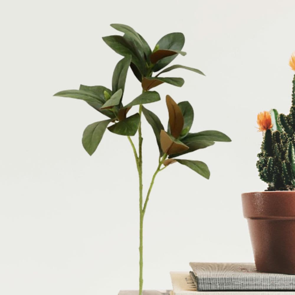 HWNOSU Simulado Ramo De Árvore De Magnólia , Grande Toque Real Planta De Folha Artificial , Plantas Verdes De 75cm