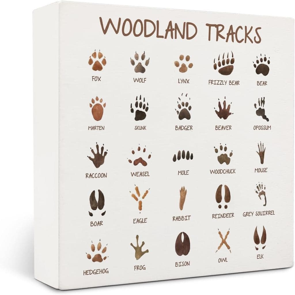 Placa de Madeira com Pegadas de Animais, Placa Guia de Pegadas de Animais, Decoração de Quarto Infantil com Tema Florest