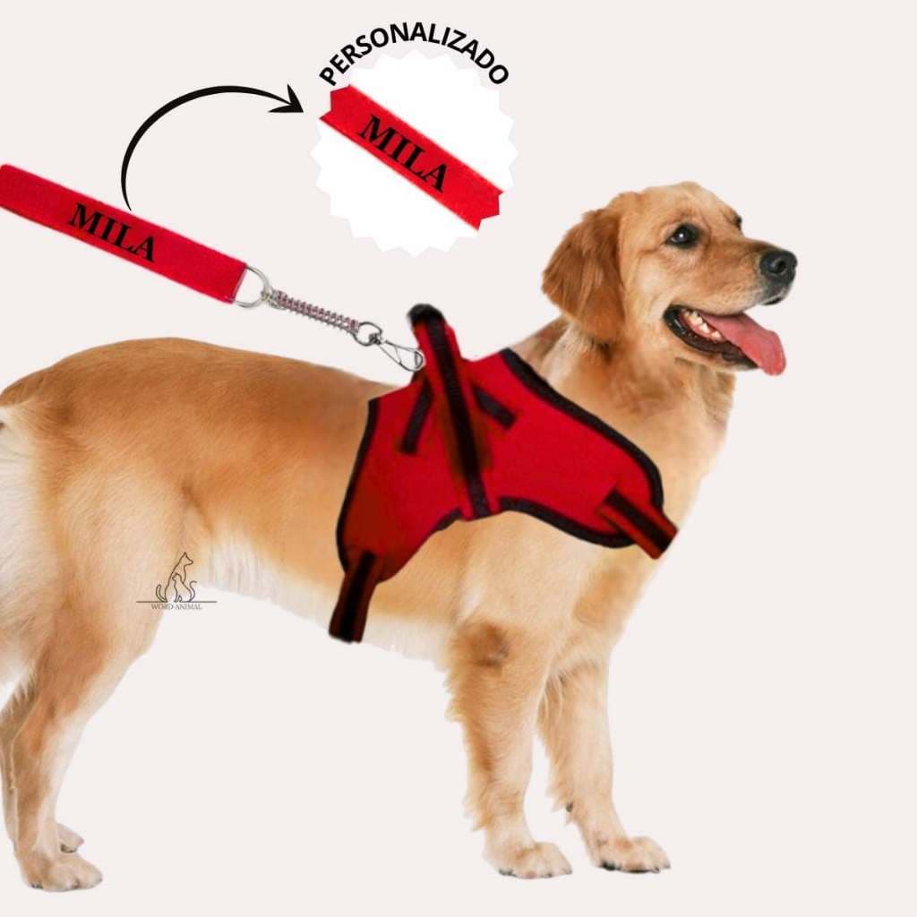 Peitoral personalizado para cachorro com bordado nome e telefone guia com mola antipacto resistente
