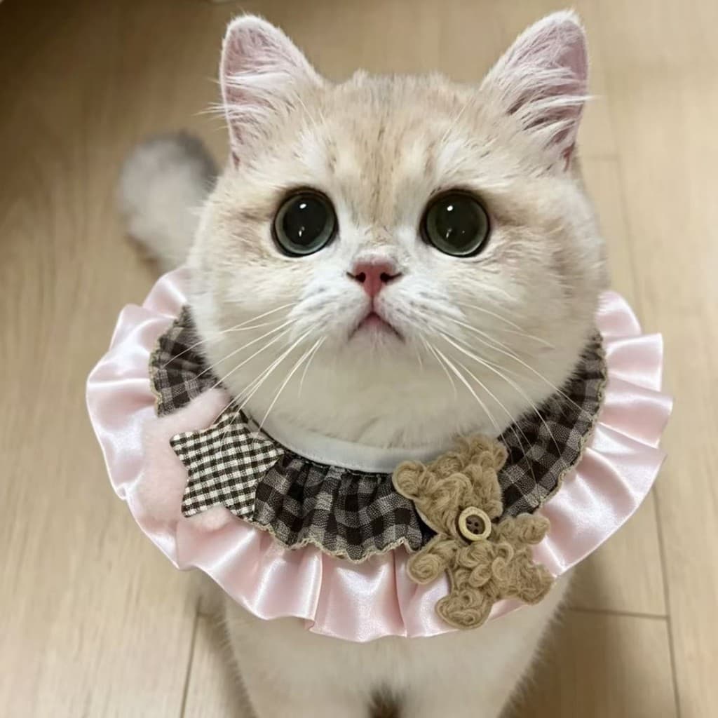 Novos produtos de venda quente brinquedos da moda bonecas Muppets bonecas animais de estimação gatos cães Tether bonito