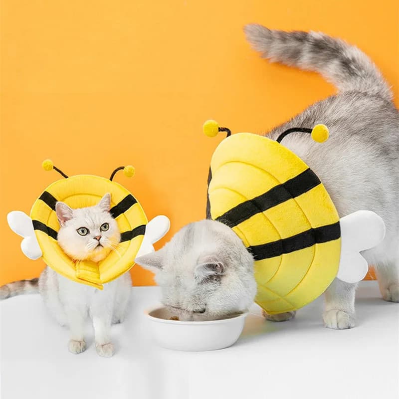 Coleira Protetora para Animais de Estimação, Coleira Elizabetana para Gatos, Coleira Pós-Operatória para Cães Pequenos,