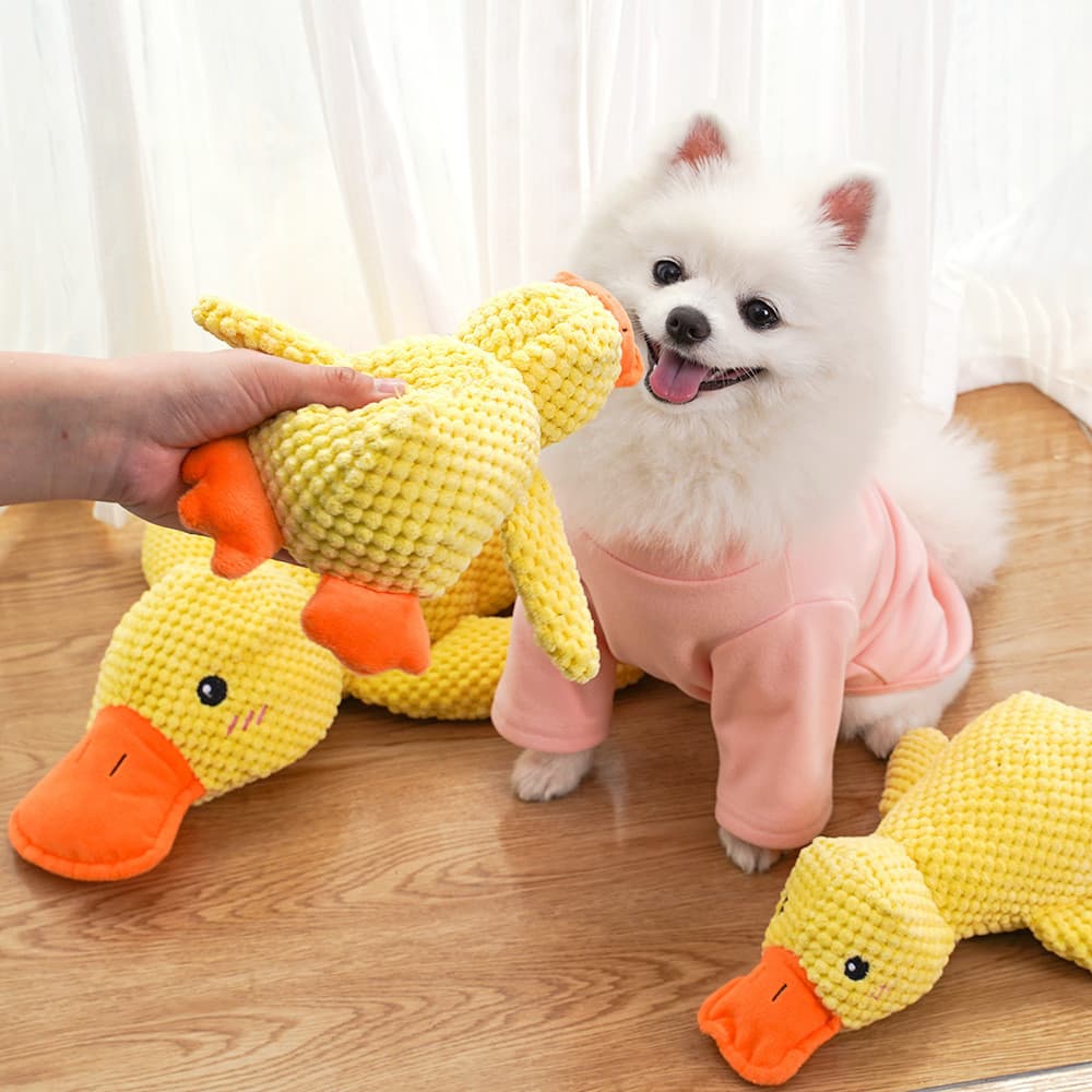 Gato pato amarelo cão brinquedo de pelúcia resistente à mordida Molar som aliviar o tédio ferramenta útil Golden Retriev
