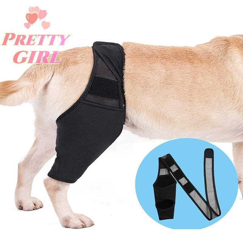 [Pretty ggirl] Joelheiras Para Cães Recuperação De Lesões Suporte Fixo Cinta Protetor Animais De Estimação Alívio Da Dor