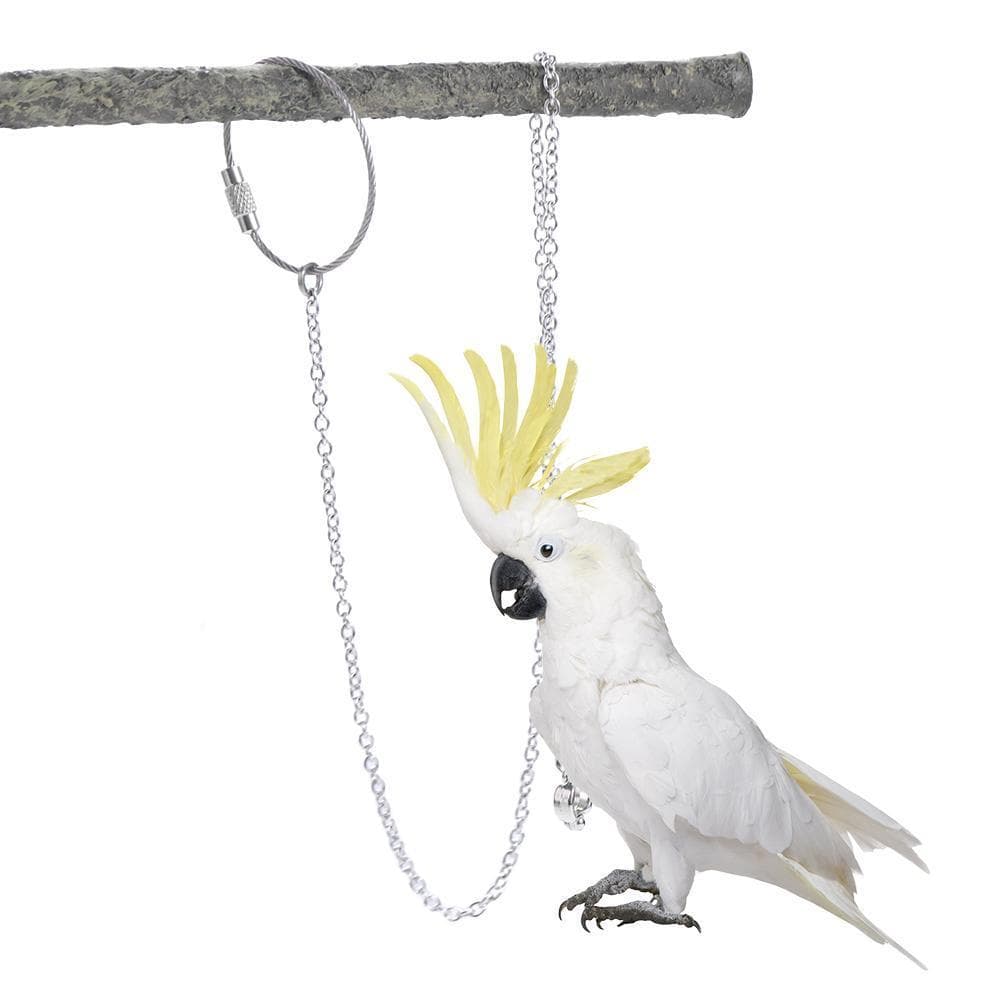 SUNDANCE Papagaio Pé Anel Seguro Prata Ao Ar Livre Starling Pombo Calopsita Pássaro Suporte Tornozelo