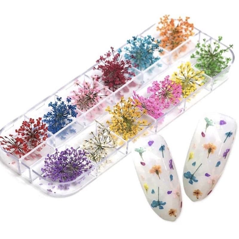 Kit 12 Flores Secas para Unhas Decoração Nail Art Encapsulamento Unhas em Gel Acrigel e Fibra de Vidro