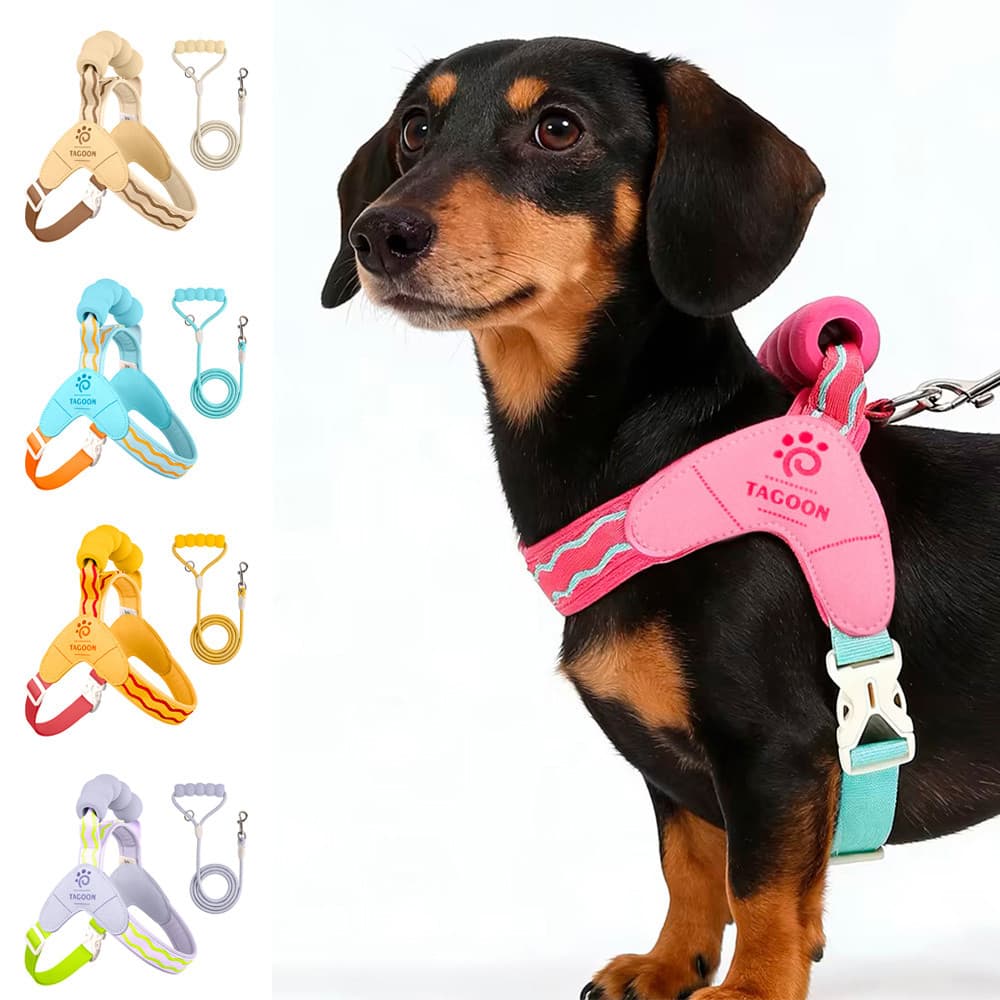 Arnês Portátil Para Cães Pequenos E Médios Em Forma De Y Animais De Estimação , Conjunto De Acessórios
