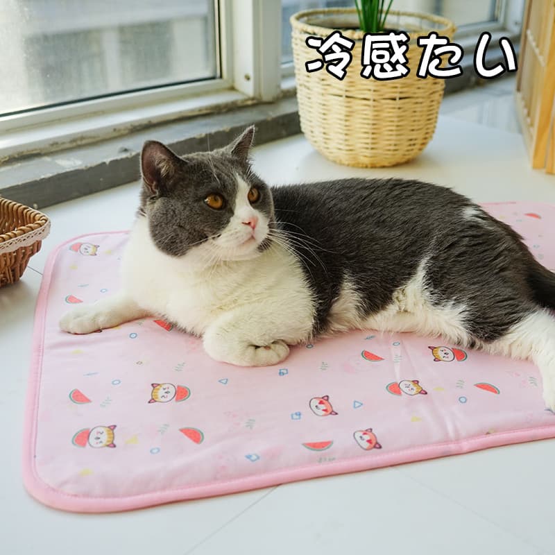 Japonês legal tecido Pet almofada de gelo gato almofada de dormir almofada do cão verão gelo seda legal esteira