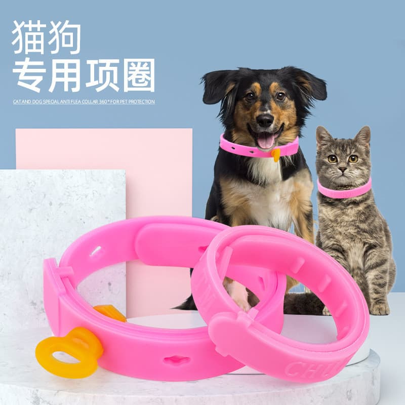 Coleira para gato Coleira para cachorro Coleira para cachorro e gato Coleira para animais de estimação