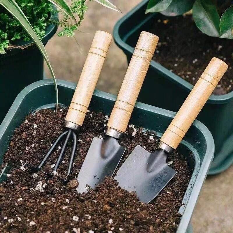 Conjunto de jardinagem de três peças: pequena pá para plantas em vasos, pequena pá de jardim, ferramenta para plantio de