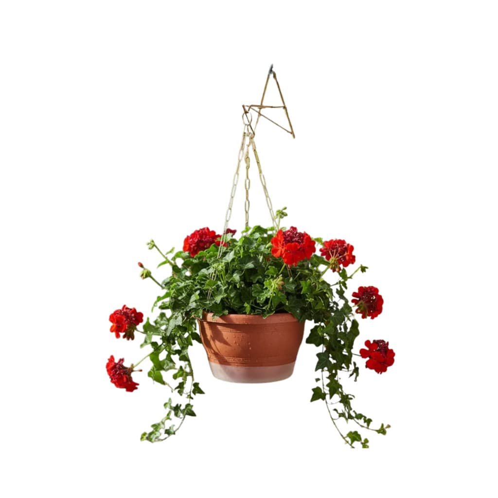 1 Kit  Cuia 8l + Prato Autoirrigavel + Suporte A 24 + Corrente 54cm - 1VP31_C54A2 cord