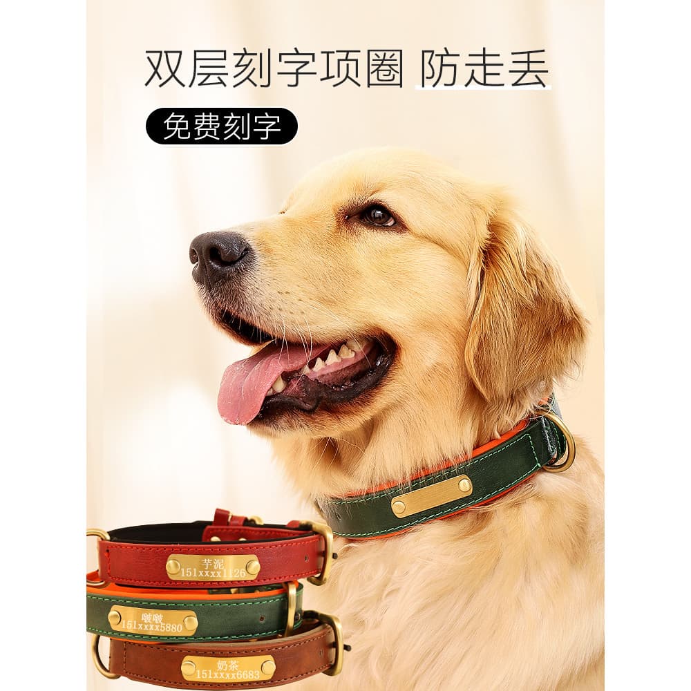 Coleira com etiqueta para cachorro, coleira com letras para cachorro médio e grande, coleira para cachorro com nome, col
