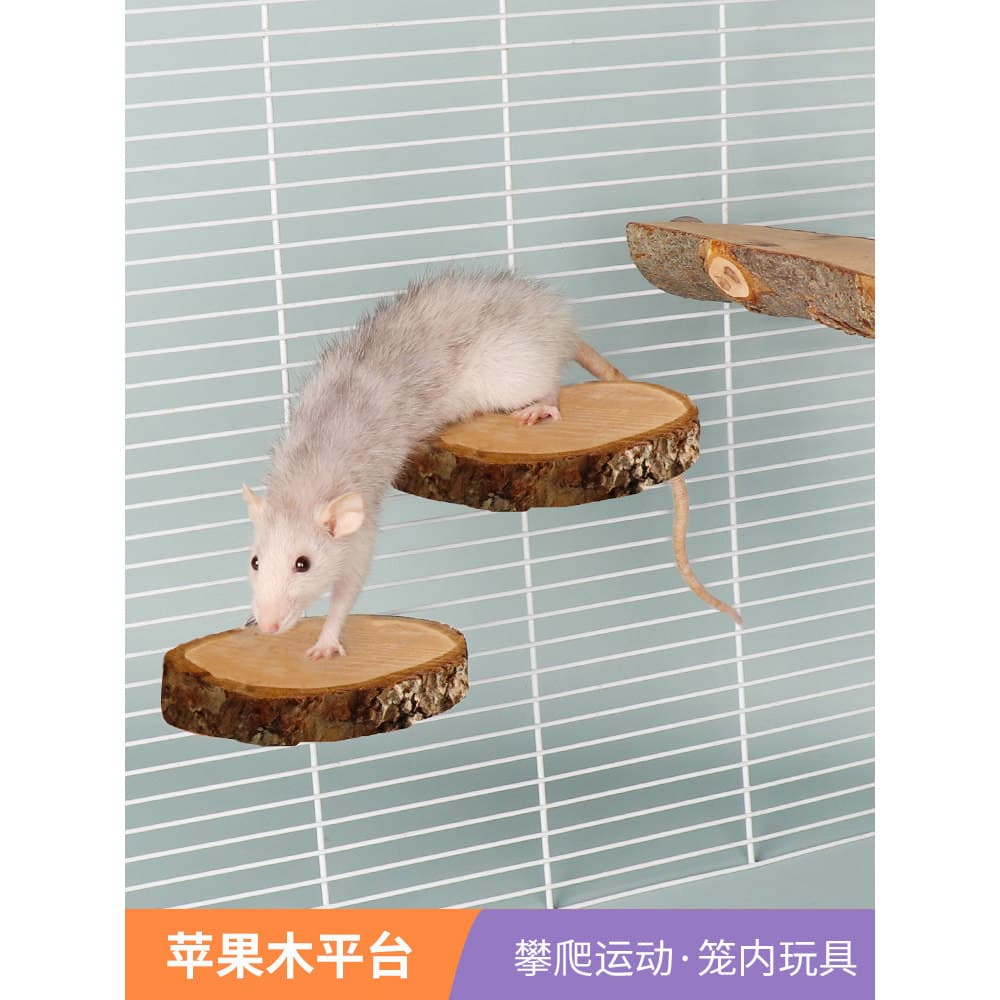 Esquilo plataforma de salto Pedal quadro escalada papagaio suprimentos Hamster brinquedo escada plataforma urso dourado