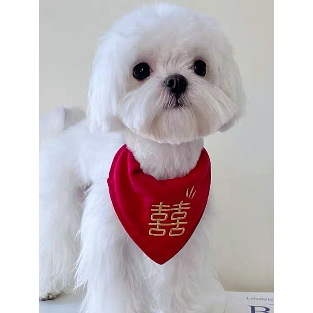 Cão gato Saliva toalha casamento palavra feliz babador acessórios participar no casamento festivo triângulo cachecol bab