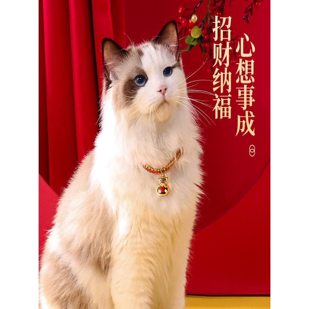 Coleira de gato coleira de cachorro ornamentos coleira de corda vermelha sorte fortuna gatinho colar pequenos acessórios