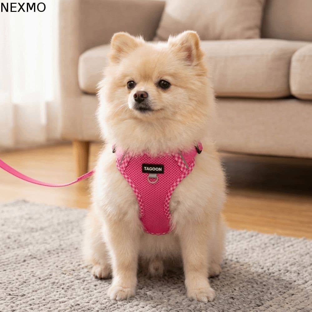 Conjunto De Coleira Para Cães NEXMO , Alça Peitoral Ajustável Reflexiva , Corda De Caminhada Animais De Estimação De Mal