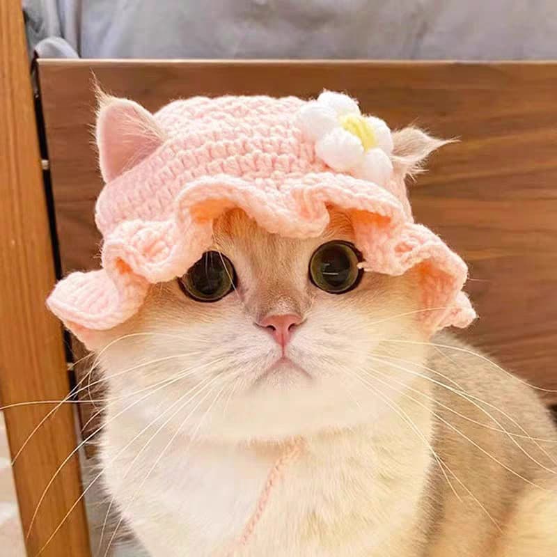 Chapéu de malha para gato, arnês fofo para animais de estimação