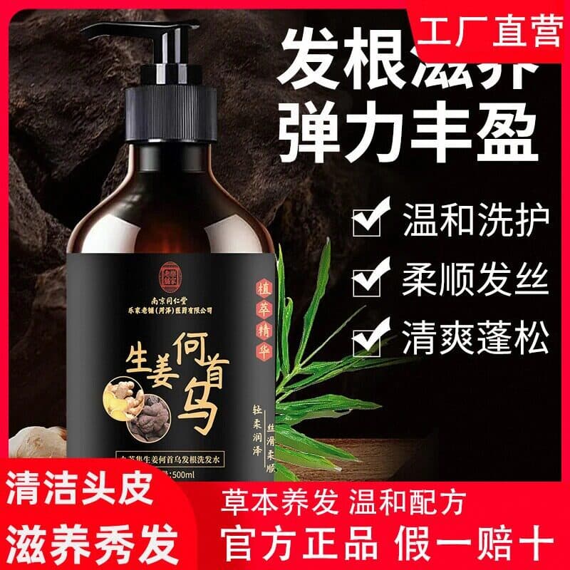 Nanjing Tongrentang Gengibre Polygonum Multiflorum Shampoo Preto Ganoderma Lucidum Controle de Óleo Fofo Anticaspa Erva