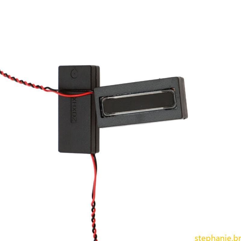 Melhor Alto-Falante Poderoso 4Ohm 2W Para Dispositivos Entrada Digital, Proporcionando Saída Som Con