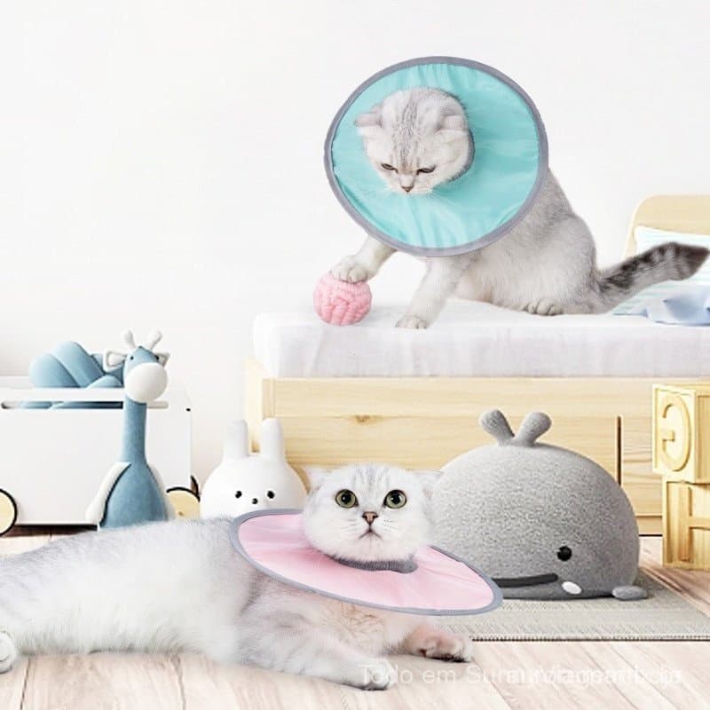 Colarinho De Cone De Gato Ajustável Coleira De Recuperação Após Cirurgia Elizabethan Para Gatinho