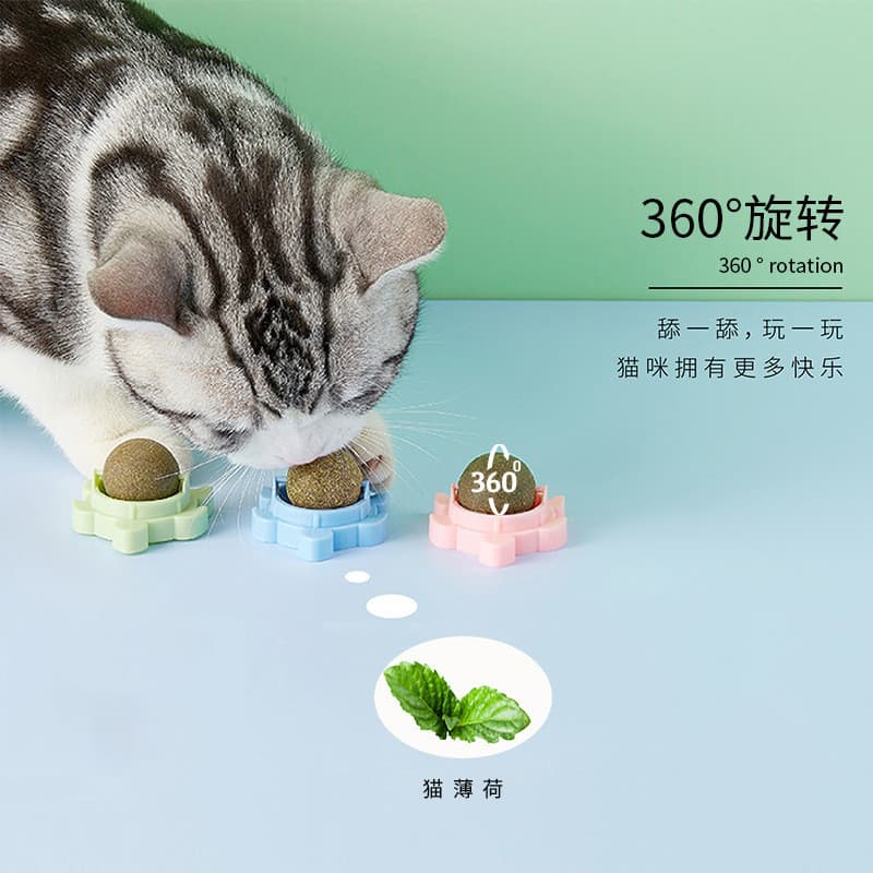 Suprimentos para gatos aliviam o tédio