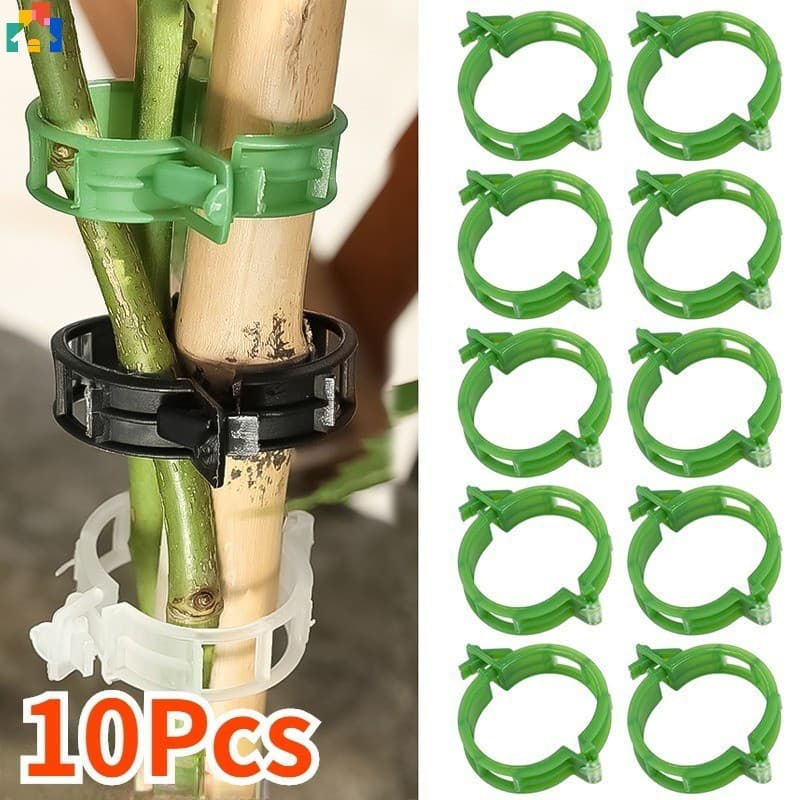 10 clipes de plástico reutilizáveis para suporte de plantas, para proteger as videiras de tomate, ferramentas de fixação