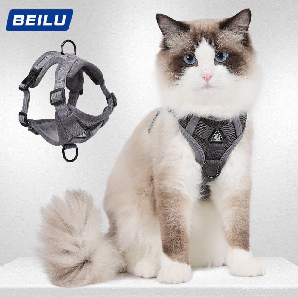 Coleira para gatos, arnês para animais de estimação no estilo de colete, com elementos refletivos, respirável e concebid