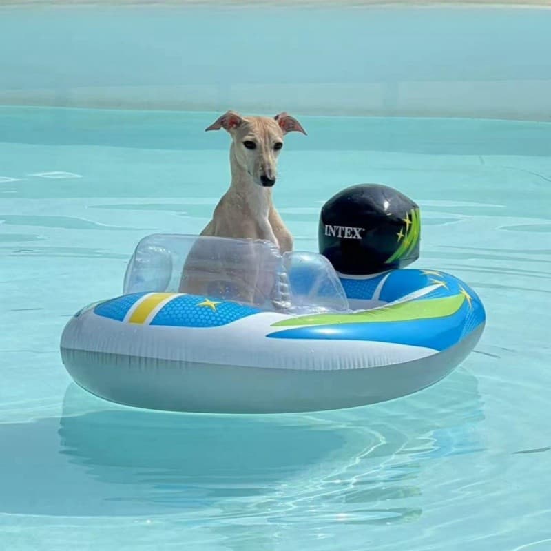 Crianças anel de natação barco inflável bebê cama flutuante Pet filhote de cachorro jogando água flutuante dreno água jo