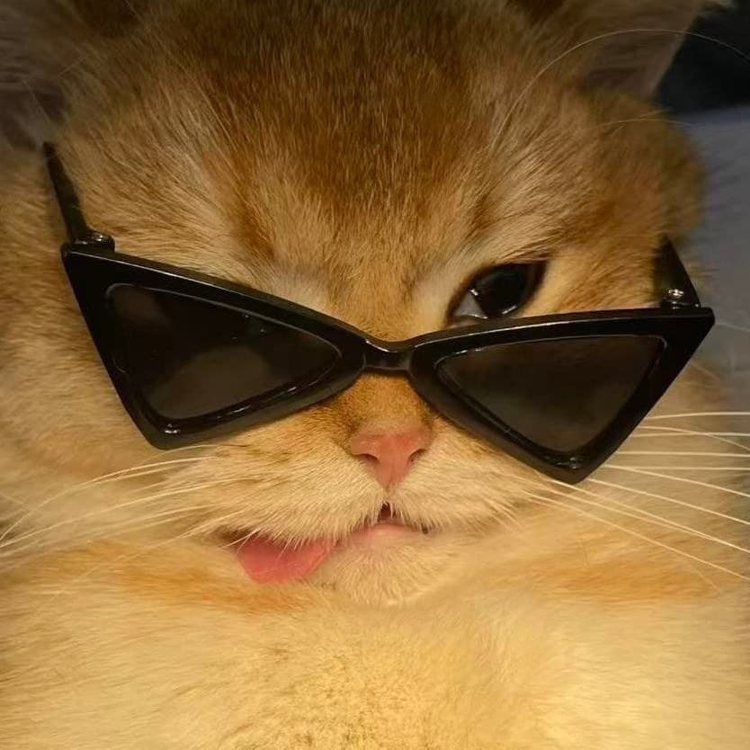 Bonito triângulo óculos de sol Pet óculos gato cão foto adereços requintado triângulo óculos de sol bonito